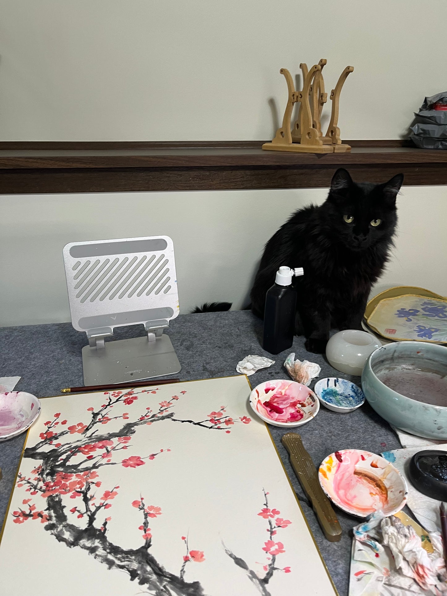 Black and Red Cherry Blossom