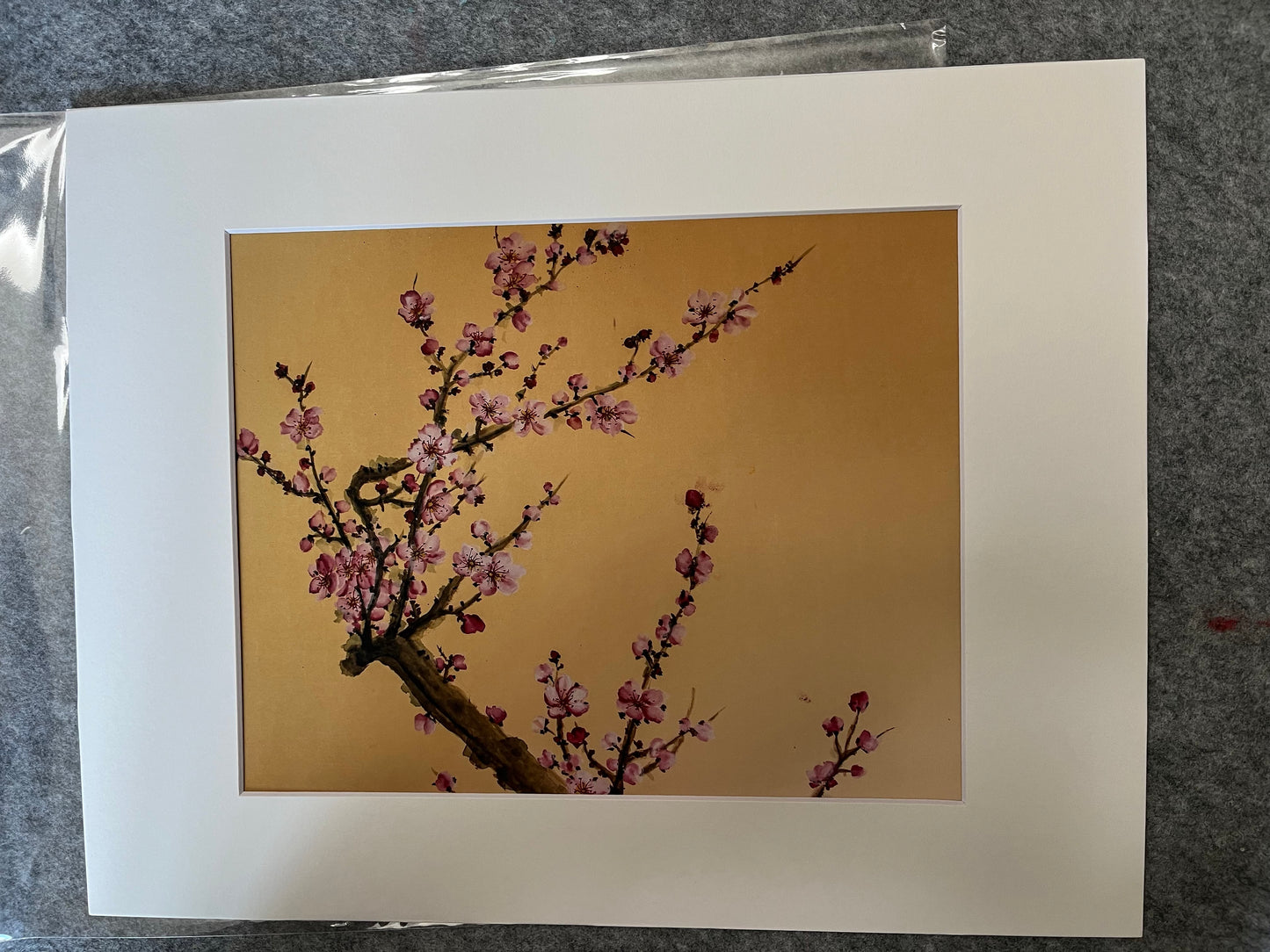 Fine art print" Cherry Blossoms"