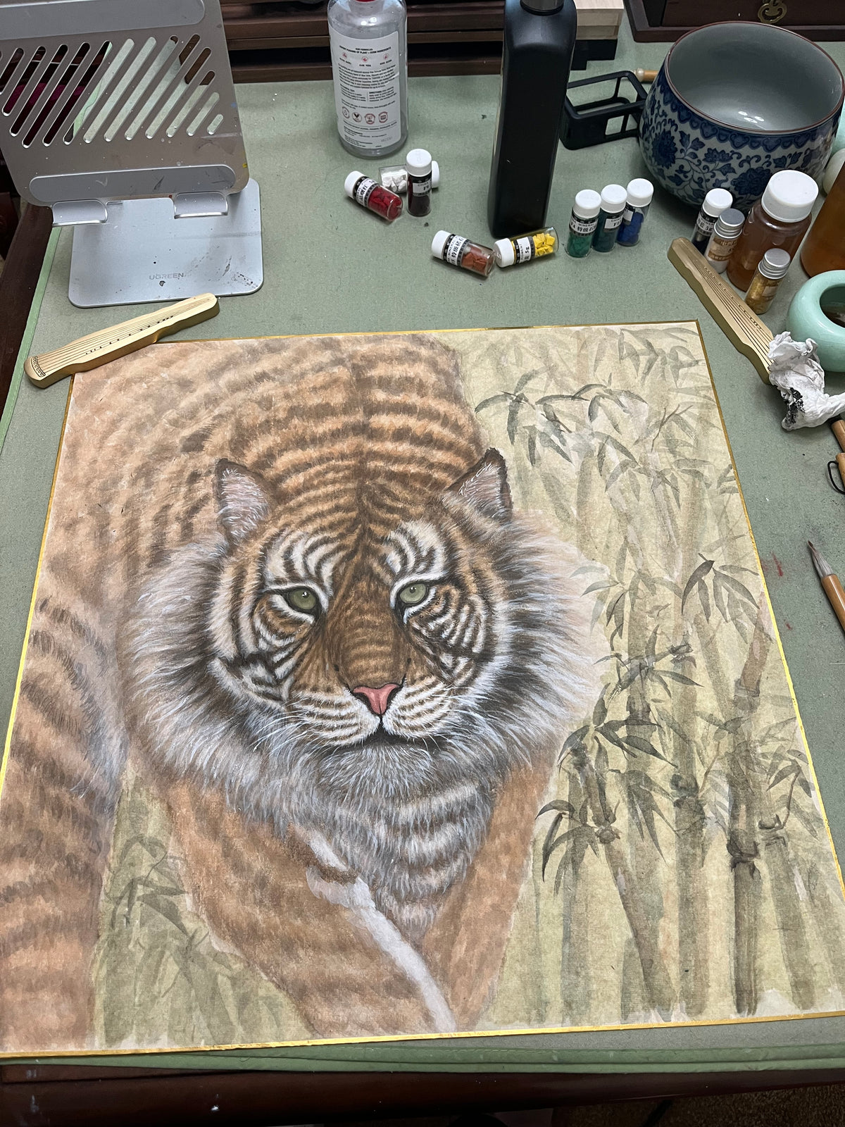 The eyes of the Tiger