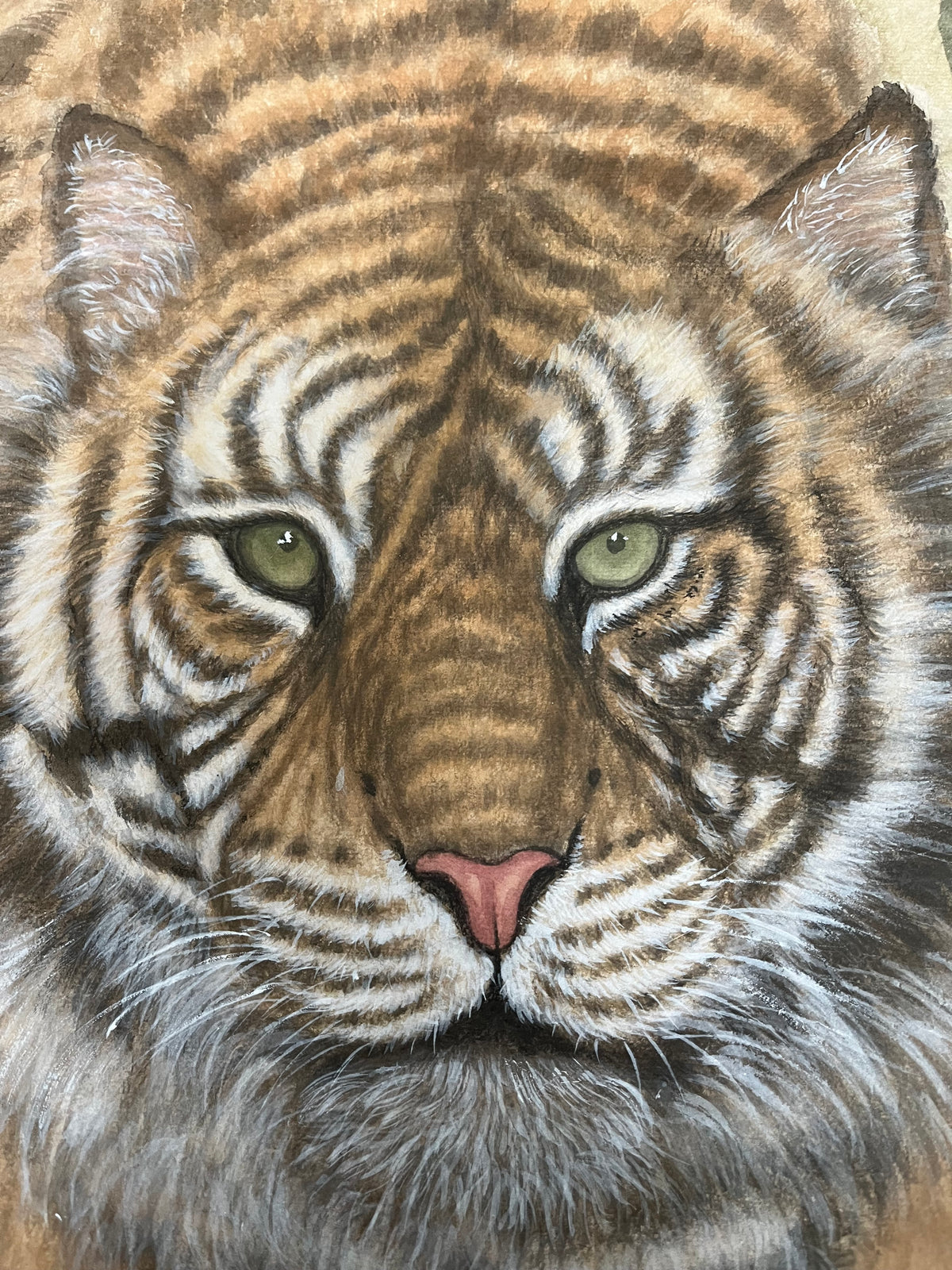 The eyes of the Tiger