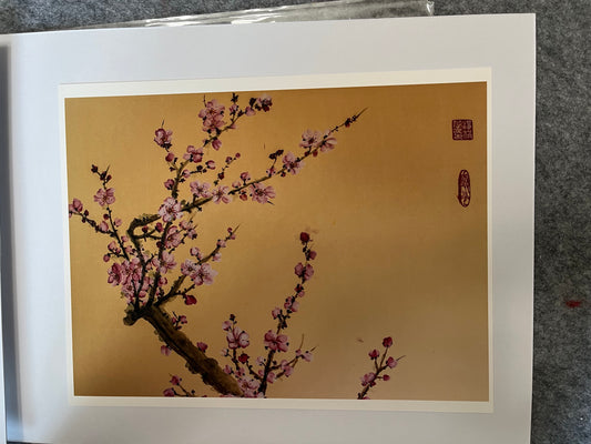 Fine art print" Cherry Blossoms"